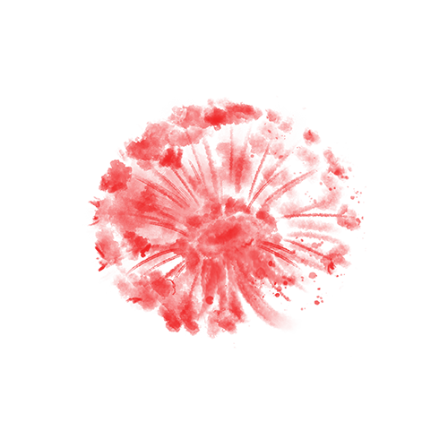 japon.is.me